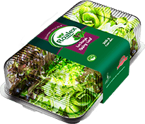 productos_0002_baby-leaf-min