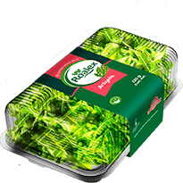 productos_0003_urugula-min